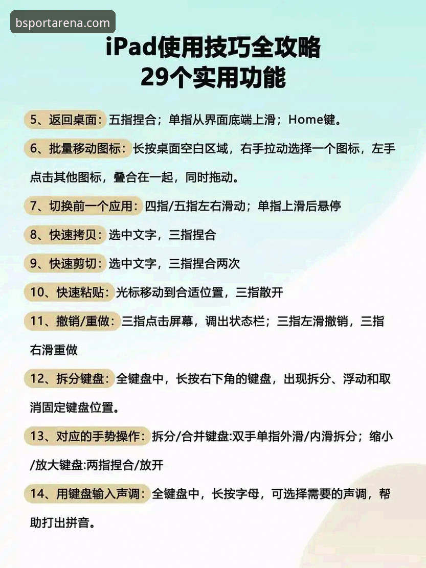 BSPORT官方网站 BSport体育平台新手使用指南:从入门到精通的完整攻略